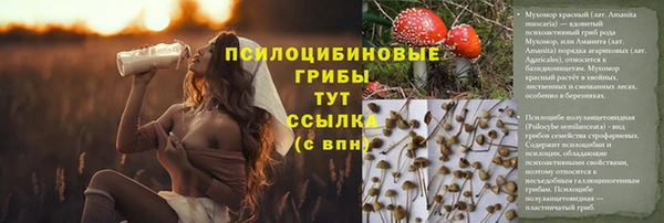 mdpv Алексин