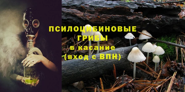 прущие грибы Алексеевка