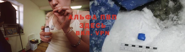 крисы Алзамай