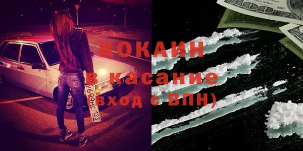 крисы Алзамай