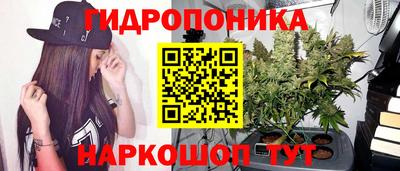ECSTASY Донской