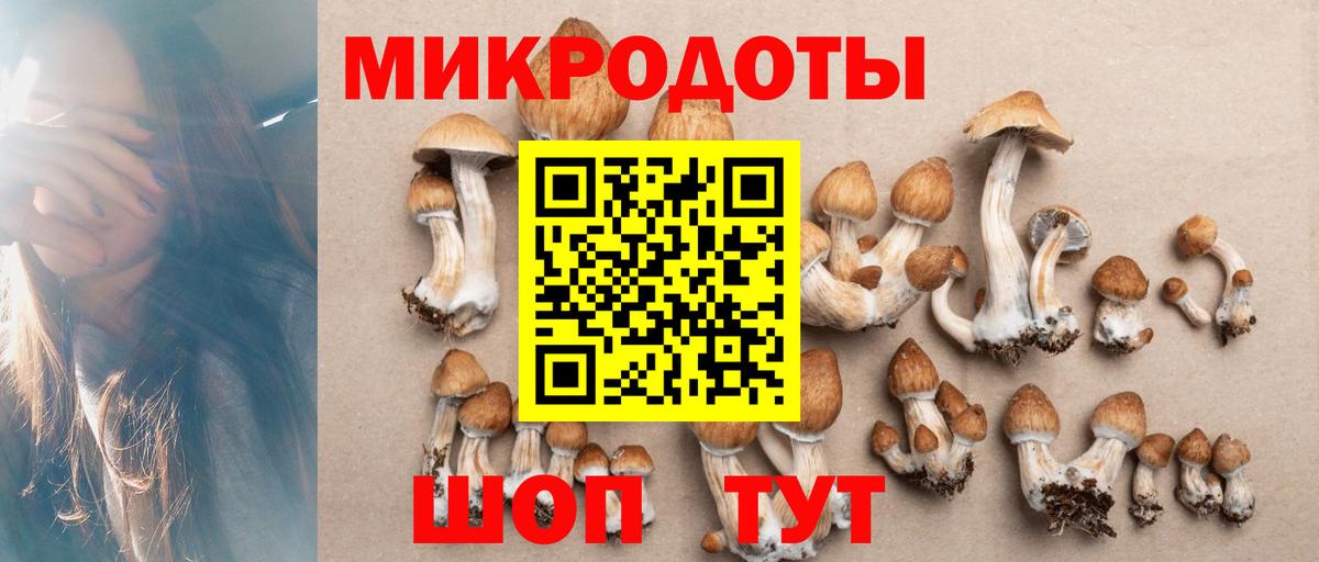 Галлюциногенные грибы Psilocybine cubensis Борзя