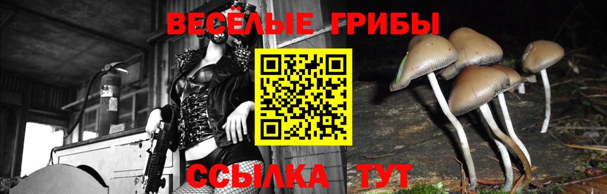 Борзя  Галлюциногенные грибы Psilocybe  закладки  Псилоцибиновые грибы Cubensis  Вход с VPN 